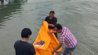 IMG-20260726-WA0185