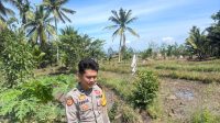 IMG-20260914-WA0033