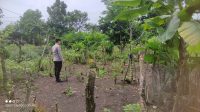 IMG-20260915-WA0087